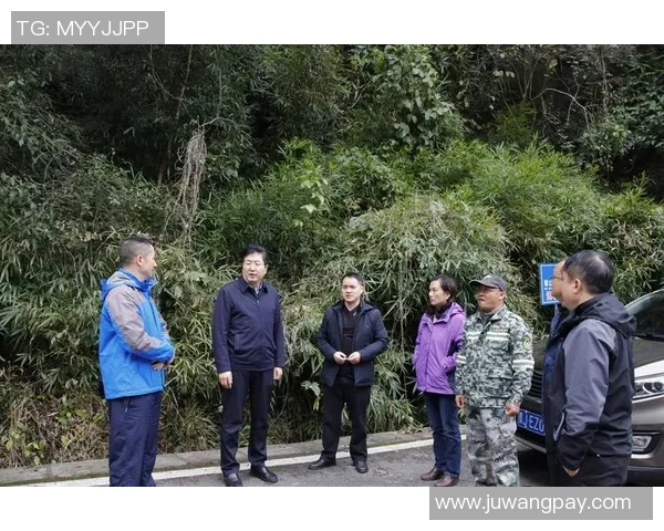 西安攀岩队的区域防守策略解析与深度探讨